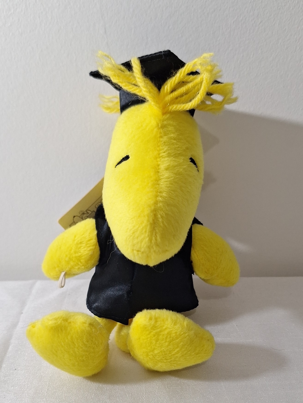 Woodstock Stuffy Graduation Cap